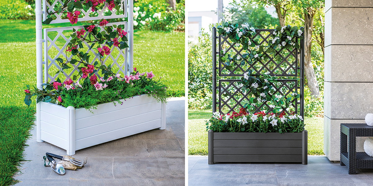 blog-truhliky-vyvysene-zahony-1